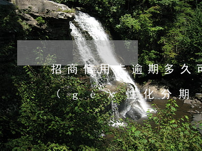 招商信用卡逾期多久可以協(xié)商個(gè)性化分期-招商信用卡逾期多久可以協(xié)商個(gè)性化分期還款