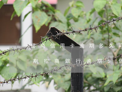 招商信用卡逾期多久可以協(xié)商分期(招商銀行逾期5個(gè)月,能協(xié)商分期付款嗎?)