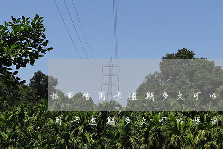 招商信用卡逾期多久可以提前還款-招商信用卡逾期多久可以提前還款啊