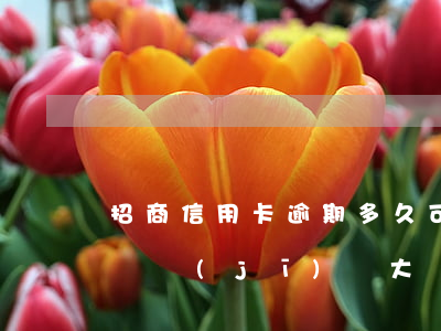 招商信用卡逾期多久可以解凍-招商逾期解凍機(jī)會大嗎2018