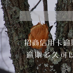 招商信用卡逾期多久可以还款啊（招商信用卡逾期多久可以还款）