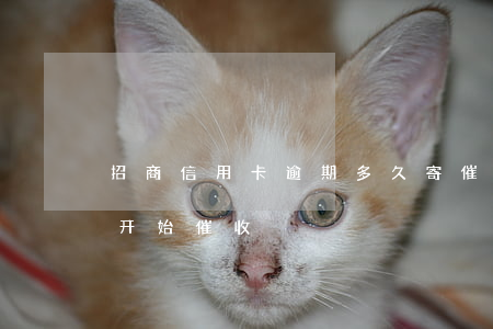 招商信用卡逾期多久寄催收涵(招商逾期几天开始催收)