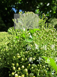 招商信用卡逾期多久會(huì)催(招商信用卡逾期多久會(huì)催)