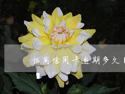 招商信用卡逾期多久會(huì)到公司催賬