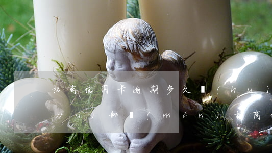 招商信用卡逾期多久會(huì)到法務(wù)部門(mén)(招商信用卡 逾期)