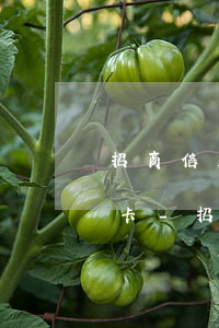 招商信用卡逾期多久會(huì)影響信用卡-招商信用卡逾期多久會(huì)影響信用卡額度