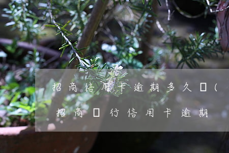 招商信用卡逾期多久會(huì)收到傳票(招商銀行 信用卡 逾期)