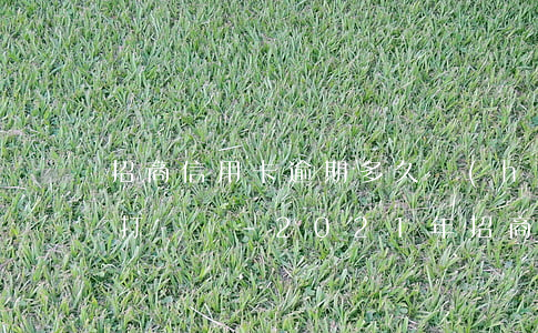招商信用卡逾期多久會(huì)給家里人打電話?-2021年招商信用卡逾期多久上征信