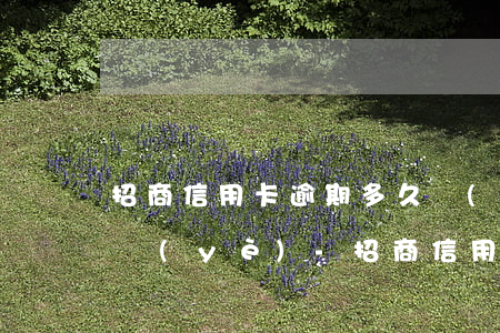 招商信用卡逾期多久會(huì)被起訴興業(yè)-招商信用卡逾期多久會(huì)被起訴興業(yè)銀行