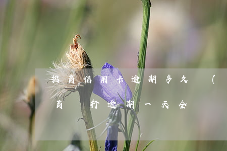 招商信用卡逾期多久會(huì)讓全款(招商銀行逾期一天全額還款有影響嗎)