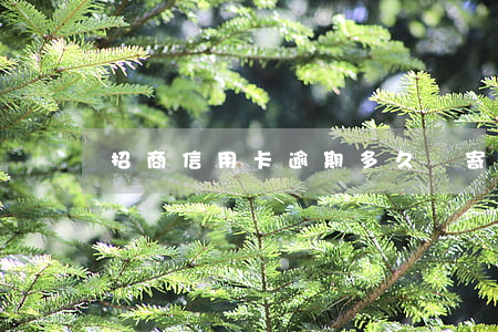 招商信用卡逾期多久會寄訴函