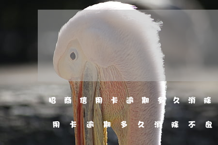 招商信用卡逾期多久消除不良記錄-招商信用卡逾期多久消除不良記錄了