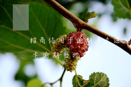 招商信用卡逾期多久进入不良(招商银行信用卡逾期当地警方)