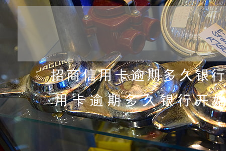 招商信用卡逾期多久银行开始催缴-招商信用卡逾期多久银行开始催缴的