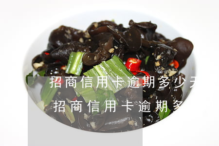 招商信用卡逾期多少天會被凍結(jié)(招商信用卡逾期多少天會被凍結(jié)微信)