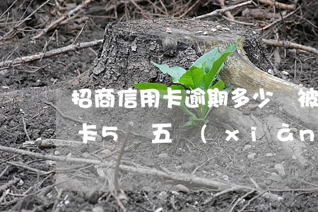 招商信用卡逾期多少會被抓 欠招商銀行信用卡5萬五,現(xiàn)在逾期了,真的會做牢嗎