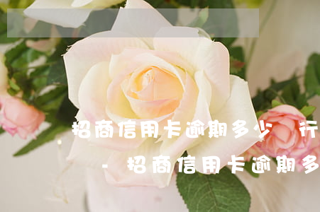 招商信用卡逾期多少銀行不會(huì)起訴-招商信用卡逾期多少銀行不會(huì)起訴了