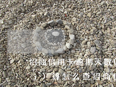 招商信用卡逾期天數(shù)如何計(jì)算 怎么查招商信用卡逾期手續(xù)費(fèi)到底有多少