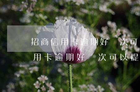 招商信用卡逾期好幾次可以提額嗎-招商信用卡逾期好幾次可以提額嗎知乎
