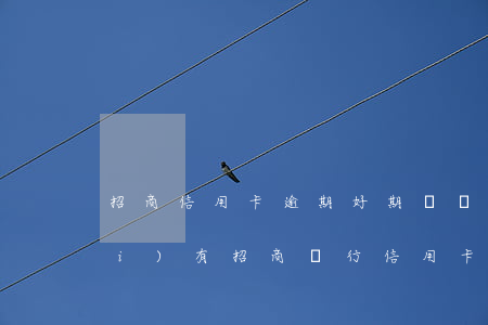 招商信用卡逾期好期貸還可以嗎(有沒(méi)有招商銀行信用卡逾期的)