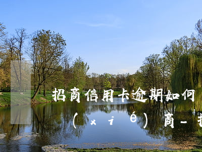 招商信用卡逾期如何聯(lián)系銀行協(xié)商-招商逾期怎么協(xié)商