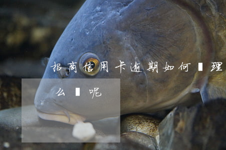 招商信用卡逾期如何處理(招商信用卡逾期怎么辦呢)