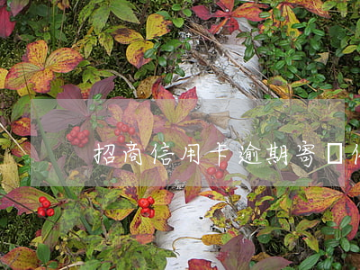 招商信用卡逾期寄來催繳函(招商銀行催款函)
