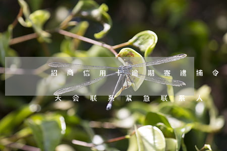 招商信用卡逾期寄逮捕令(招商信用卡逾期几天会联系紧急联系人)