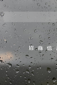 招商信用卡逾期已經(jīng)立案了