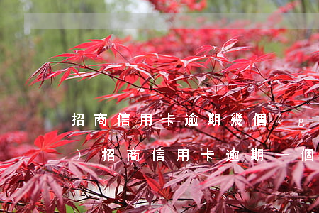 招商信用卡逾期幾個(gè)小時(shí)(招商信用卡逾期一個(gè)小時(shí)會(huì)有什么影響)