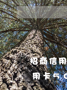 招商信用卡逾期幾個月會被起訴(招商銀行信用卡5000逾期三個月要起訴我真的么)