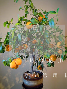 招商信用卡逾期幾天上報(bào)央行(招行信用卡 逾期一天)