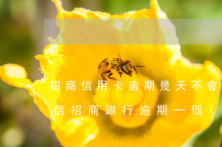 招商信用卡逾期幾天不會(huì)影響征信(招商銀行逾期一個(gè)星期對(duì)征信有影響嗎)