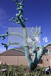 招商信用卡逾期強(qiáng)制劃扣(信用卡逾期跨行強(qiáng)制劃扣)
