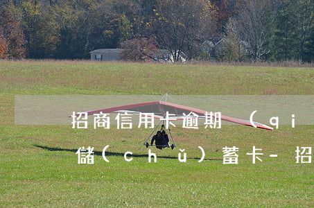 招商信用卡逾期強(qiáng)制扣同行儲(chǔ)蓄卡-招商信用卡逾期強(qiáng)制扣同行儲(chǔ)蓄卡的錢