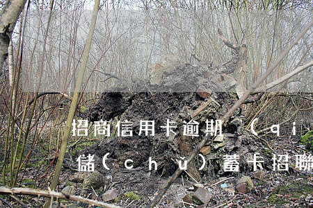 招商信用卡逾期強(qiáng)制扣同行儲(chǔ)蓄卡(招聯(lián)金融逾期招商銀行卡會(huì)被強(qiáng)制扣款嗎)