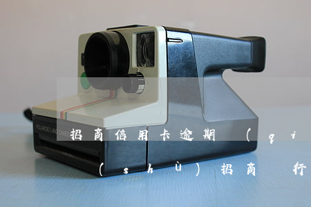 招商信用卡逾期強(qiáng)制扣款次數(shù)(招商銀行信用卡6萬逾期)