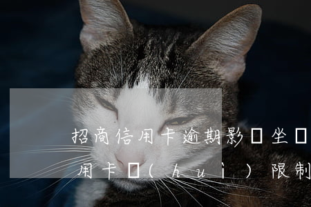 招商信用卡逾期影響坐飛機(jī)嗎 欠信用卡會(huì)限制坐飛機(jī)嗎