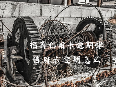 招商信用卡逾期律師聯(lián)系(招商信用卡逾期怎么辦呢)