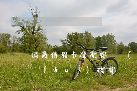 招商信用卡逾期律師聯(lián)系村委會(huì)(找律師協(xié)商信用卡逾期)