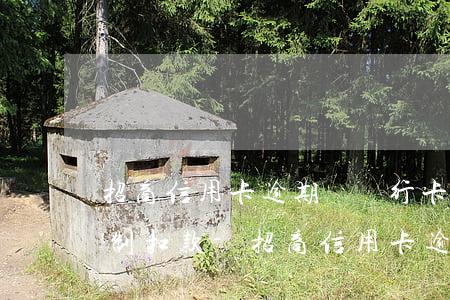 招商信用卡逾期從銀行卡強(qiáng)制扣款-招商信用卡逾期從銀行卡強(qiáng)制扣款怎么辦