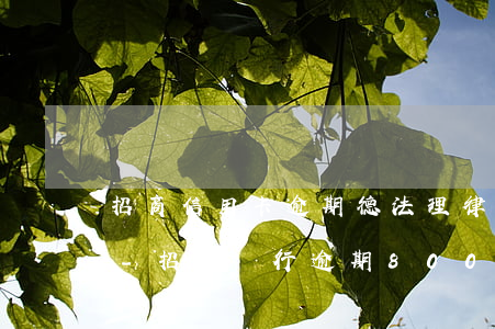 招商信用卡逾期德法理律師事務(wù)所-招商銀行逾期8000法務(wù)部說要起訴是真的假的