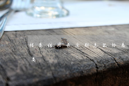 招商信用卡逾期怎么协商还(招商逾期如何协商)