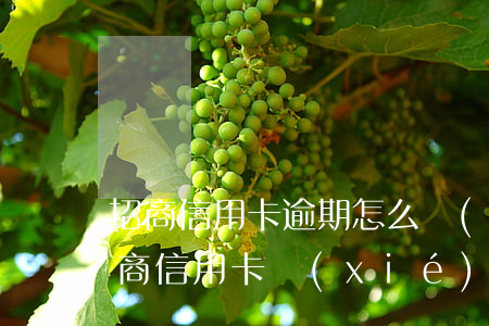 招商信用卡逾期怎么協(xié)商還款(招商信用卡協(xié)商還款銀行不同意怎么辦)