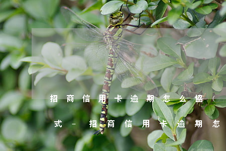 招商信用卡逾期怎么協(xié)商還款方式-招商信用卡逾期怎么協(xié)商還款方式呢