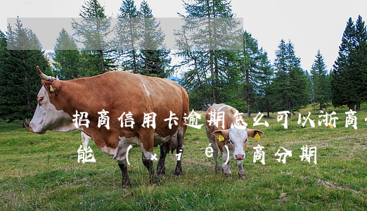 招商信用卡逾期怎么可以浙商分期 招商逾期能協(xié)商分期嗎