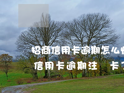 招商信用卡逾期怎么恢復(fù)(招商銀行信用卡逾期注銷卡了,可以恢復(fù)嗎)