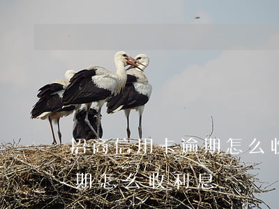 招商信用卡逾期怎么收利息嗎 招商信用卡逾期怎么收利息嗎