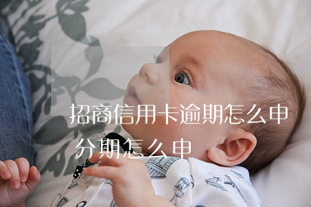 招商信用卡逾期怎么申請停息分期(招行停息分期怎么申請)