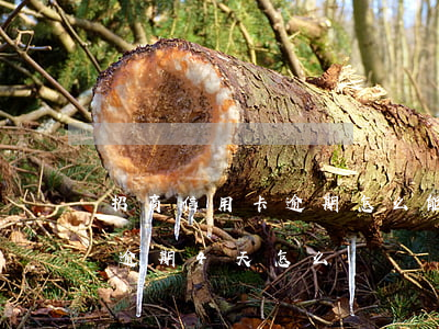 招商信用卡逾期怎么能沒(招商信用卡不小心逾期4天怎么辦)